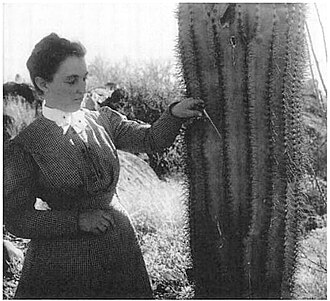 YourRoots Map_First Name Meaning_Famous People_Effie A. Southworth