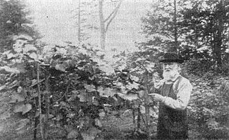 YourRoots Map_First Name Meaning_Famous People_Ephraim Wales Bull