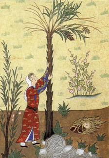 YourRoots Map_First Name Meaning_Famous People_Maryam (name)