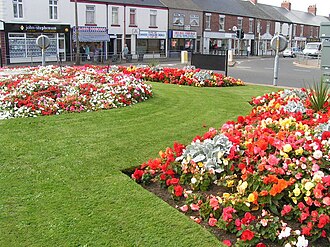 YourRoots Map_First Name Meaning_Famous People_Seaton Delaval