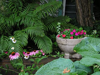 YourRoots Map_First Name Meaning_Famous People_Shade garden