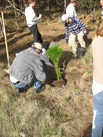 YourRoots Map_First Name Meaning_Famous People_Urban reforestation