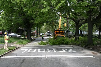 YourRoots Map_First Name Meaning_Famous People_Urban forestry