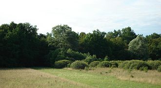 YourRoots Map_First Name Meaning_Famous People_Wood (surname)