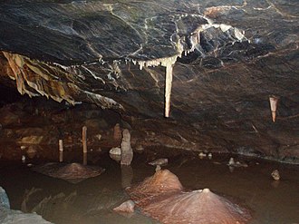 YourRoots Map_Surname_Famous People_Gough's Cave