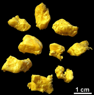 YourRoots Map_Surname_Famous People_Cheese curd