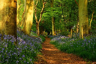YourRoots Map_Surname_Famous People_The Ridgeway