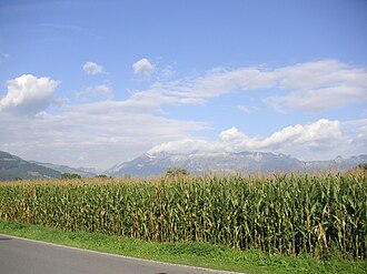 YourRoots Map_Surname_Famous People_Corn stover