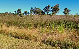 YourRoots Map_Surname_Famous People_Pinyon‚Äìjuniper woodland