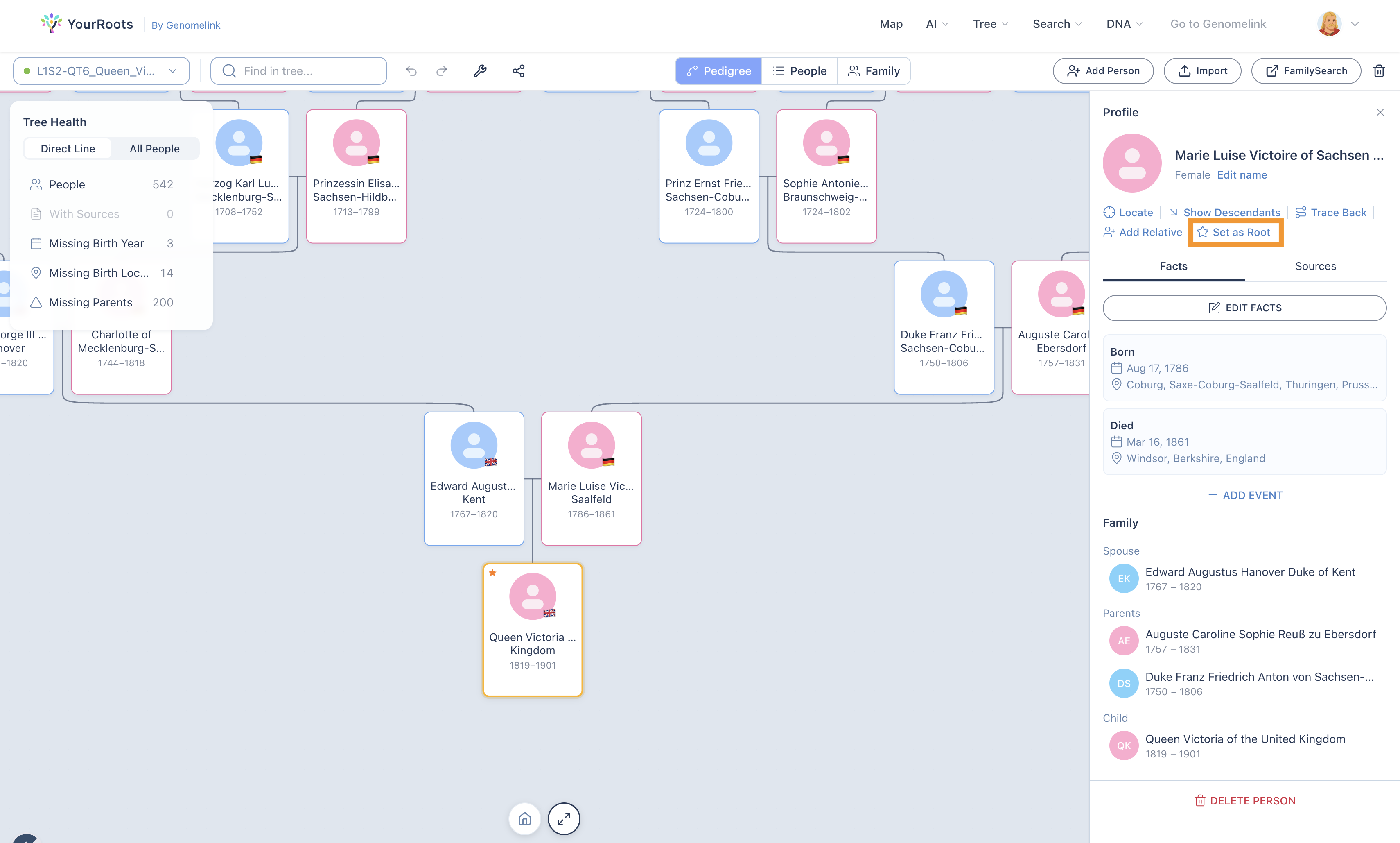 YourRoots Tree Editor with the Set as Root button highlighted on a person profile