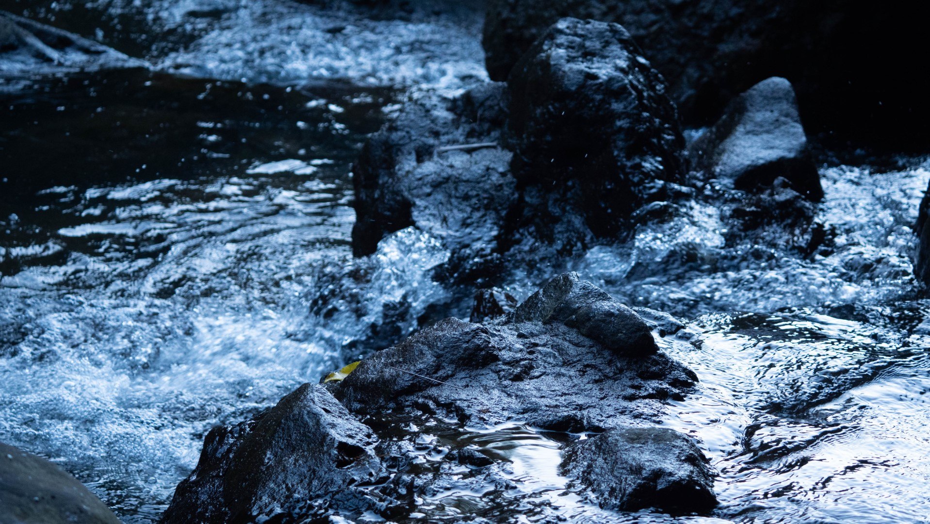 Stormwater levels being assessed for development and capacity as part of an expert hydrological report prepared for a property developer in Melbourne