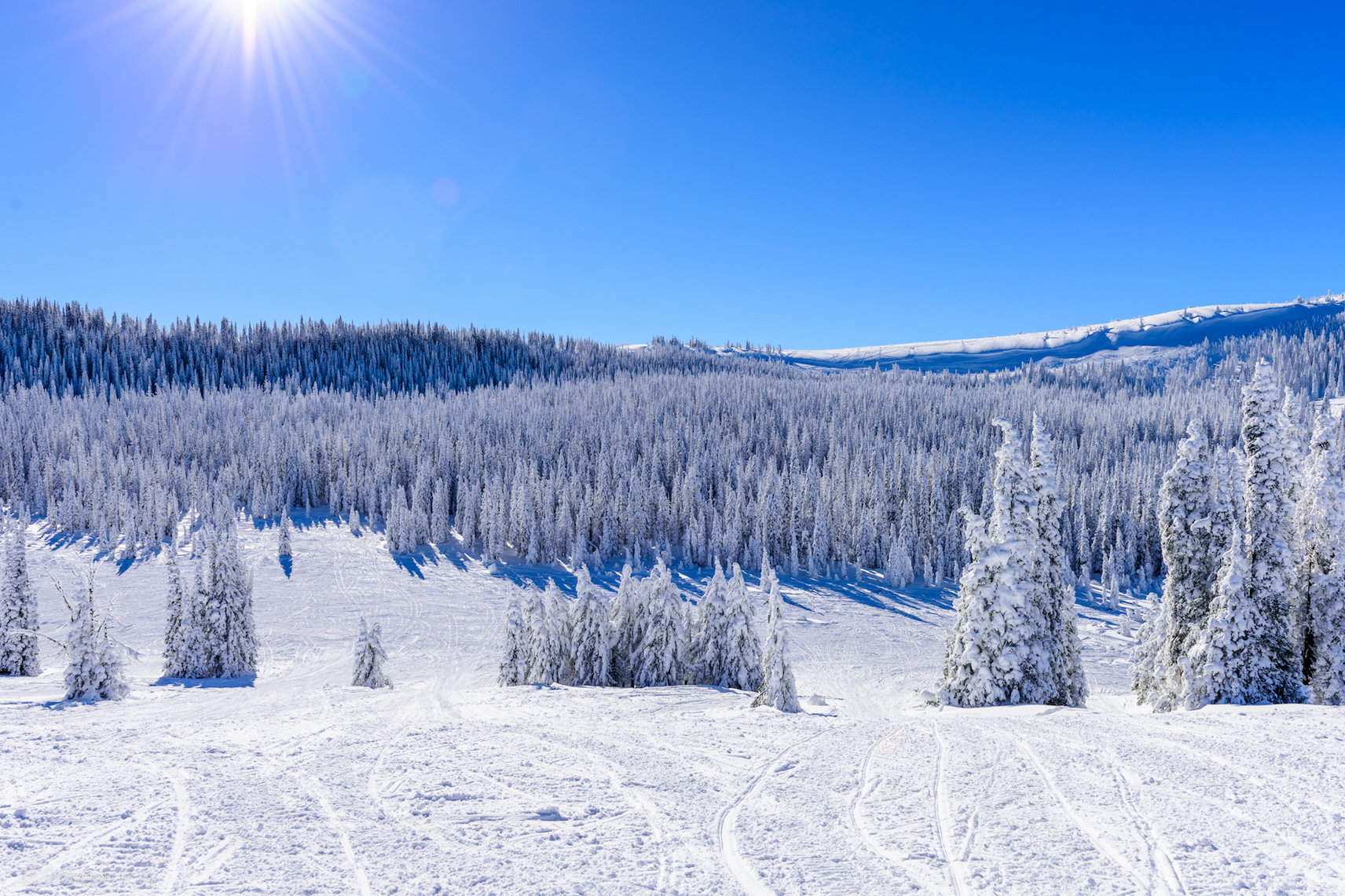 Snowmobiling in Targhee National Forest - Wayfarers