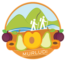 Murludi logo