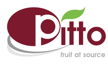 Pitto Pty Ltd logo