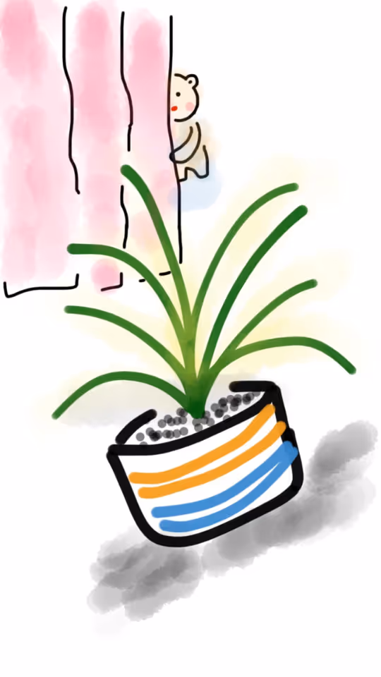 Illustration of a potted plant with green leaves and stones in a black pot with orange and blue stripes, and a small bear peeking from behind pink curtains in the background.