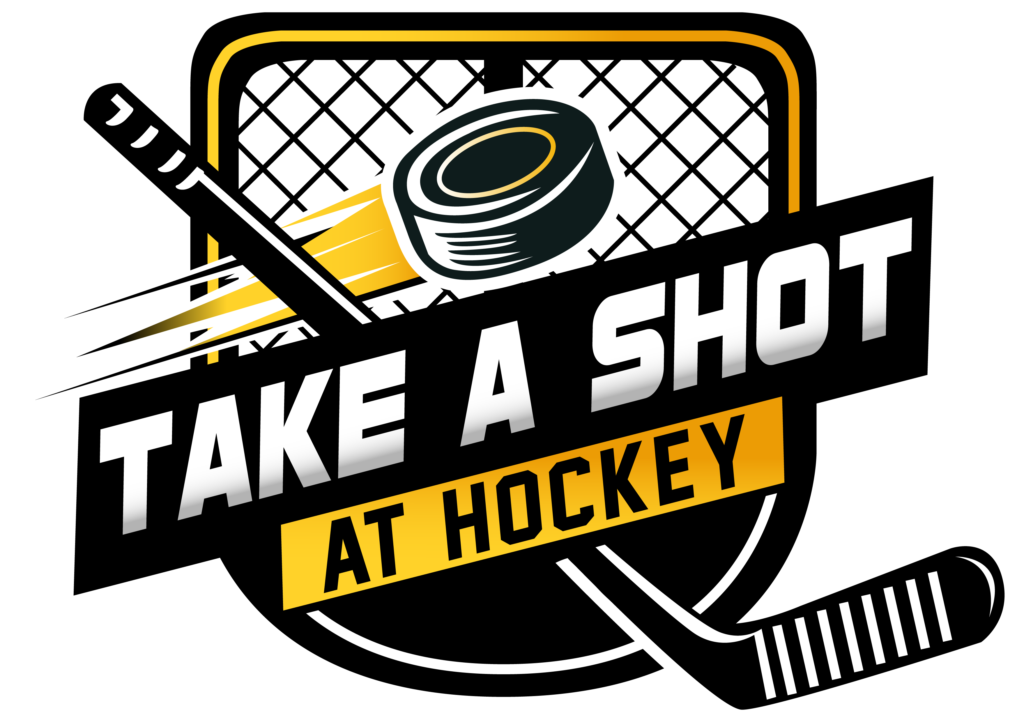 Take a Shot at Hockey