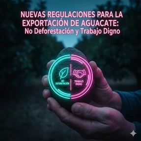 2 Cambios Urgentes del DOF que Todo Profesional Legal y Fiscal Debe Conocer Hoy (24 de octubre de 2025)