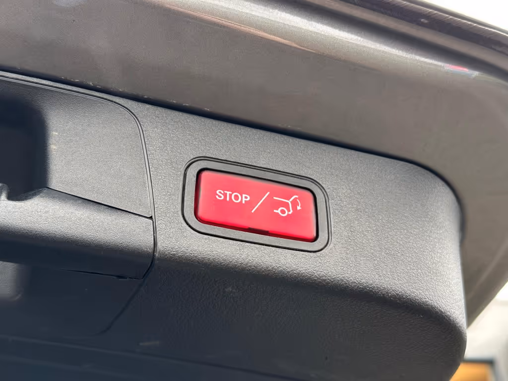 large_1735035600854190.JPG