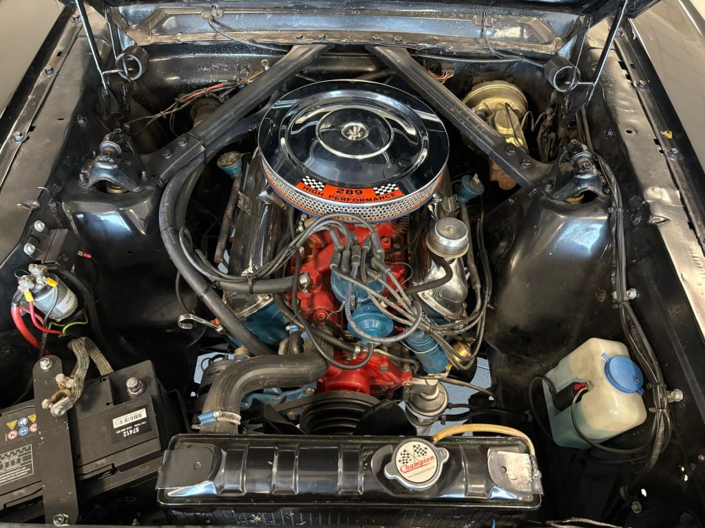 large_1743087564567466.JPG