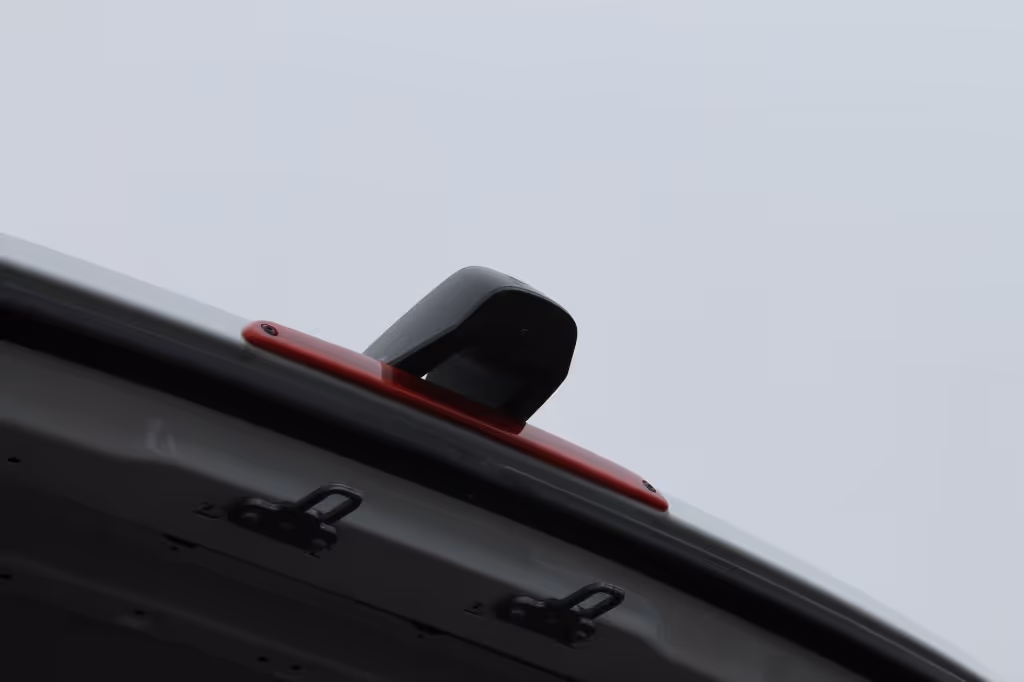 large_1706888776592234.JPG