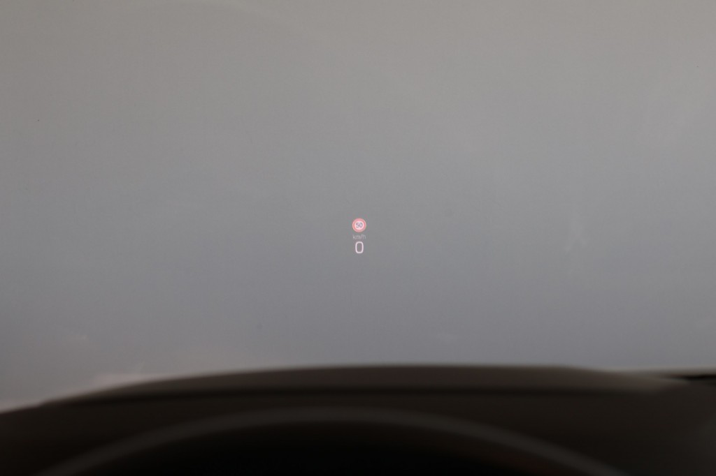 large_1739453527725935.JPG