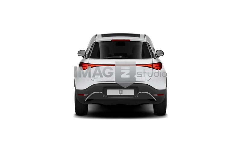Smart #1 - hoek 13