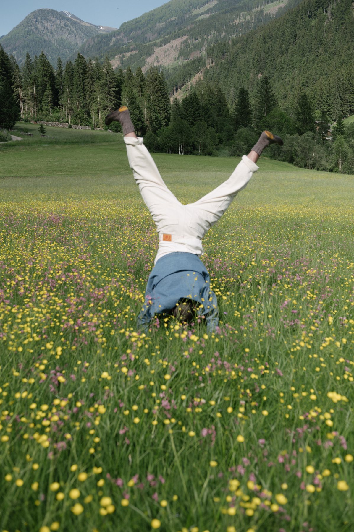 Person doing a playful headstand in an alpine wildflower meadow — moving freely without joint pain