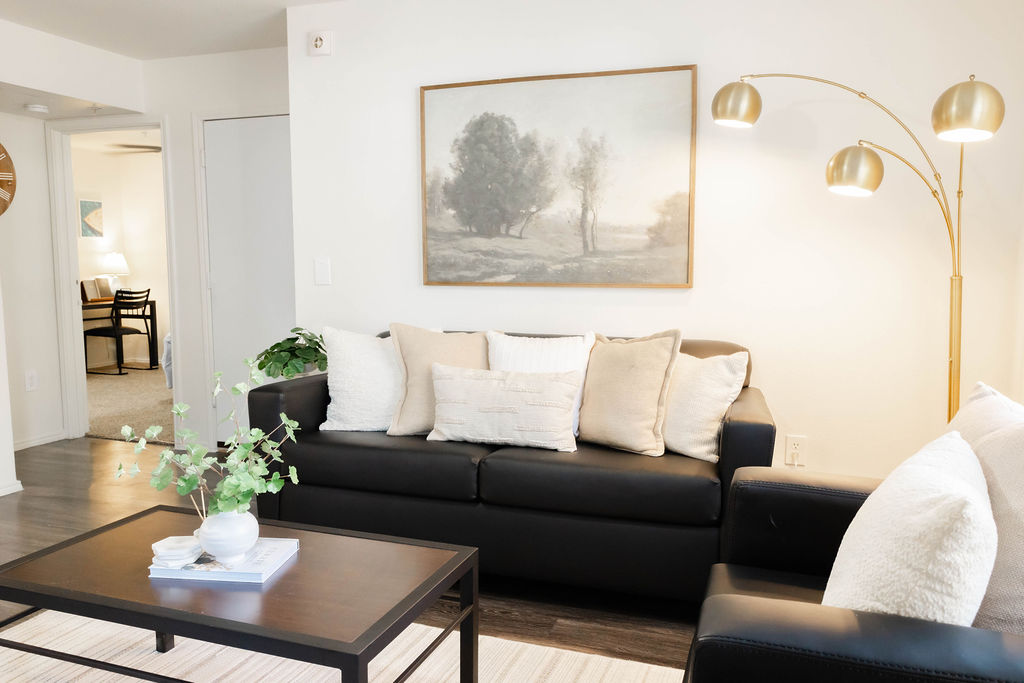 Furnished Living room