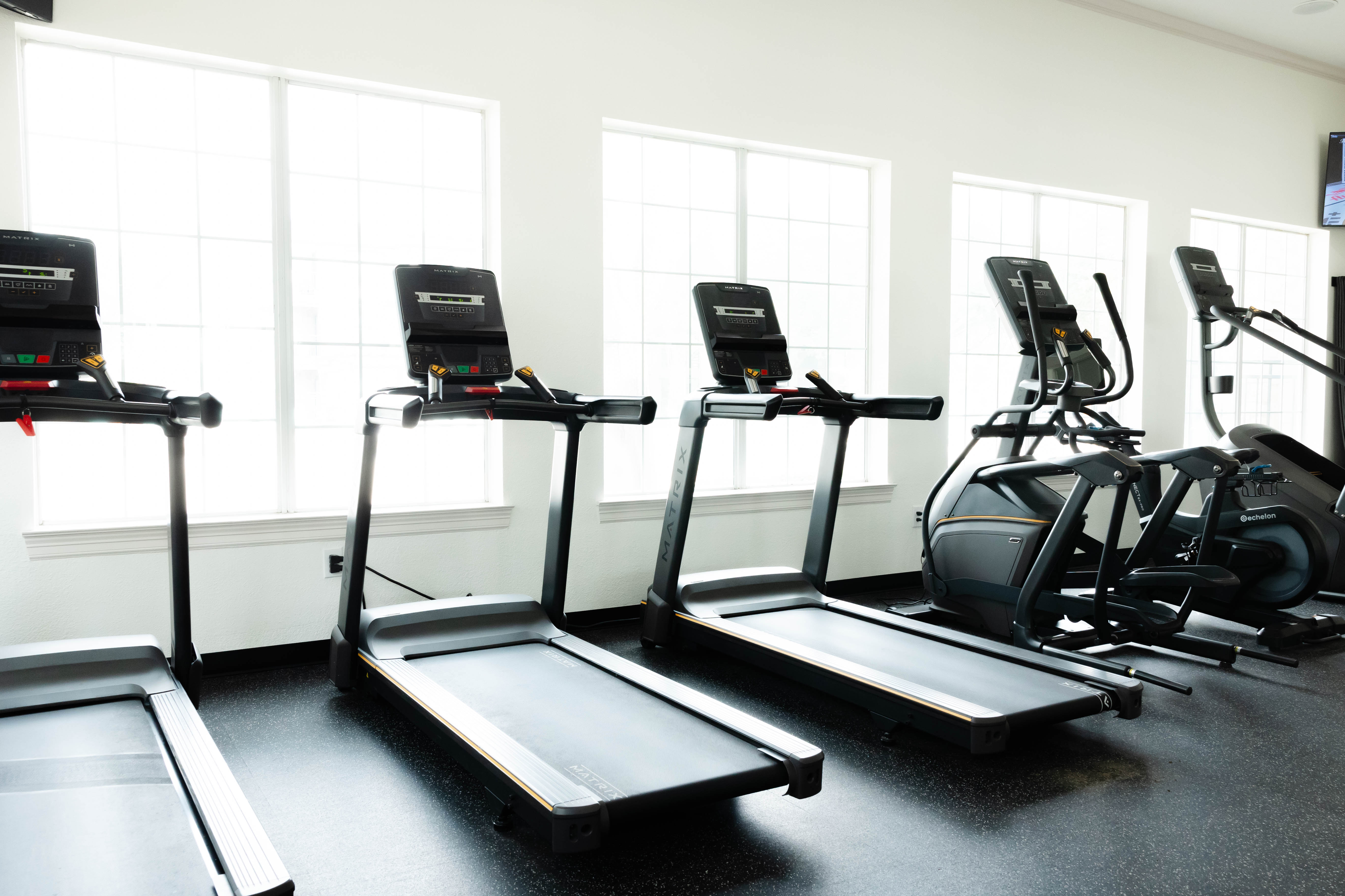 Treadmills near windows