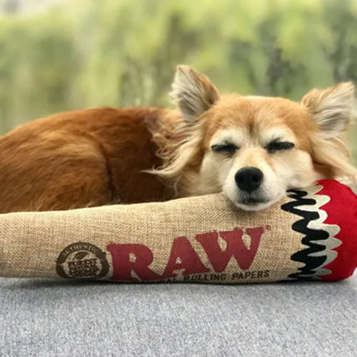 Raw Giving - Trees for the future