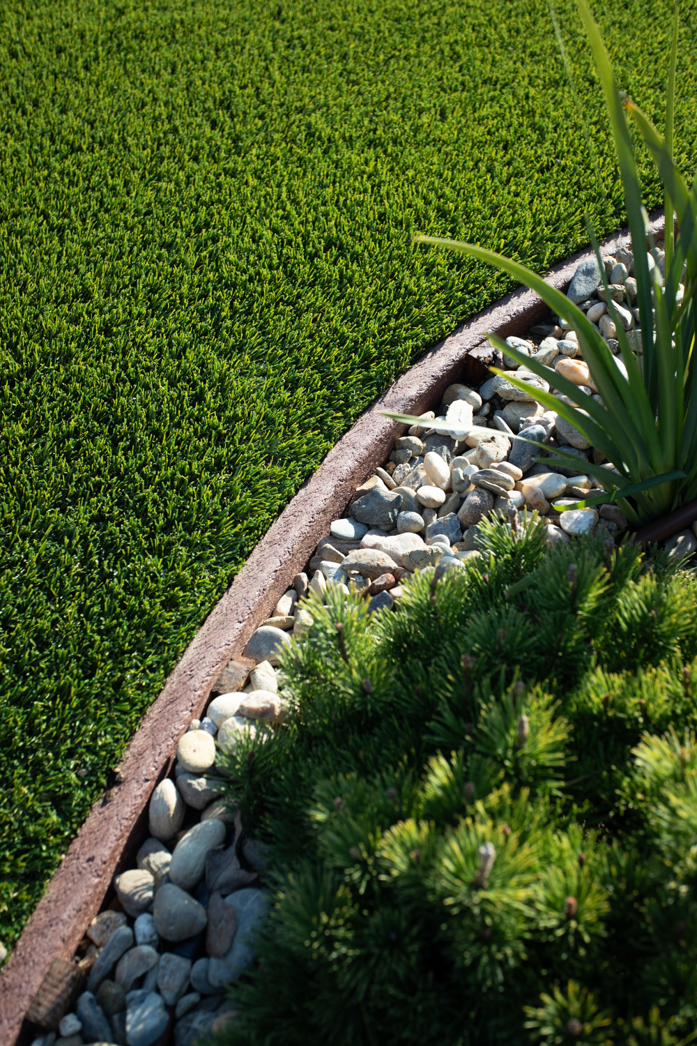 Pressure-treated perimeter edging installed along the border of a Sacramento artificial turf installation