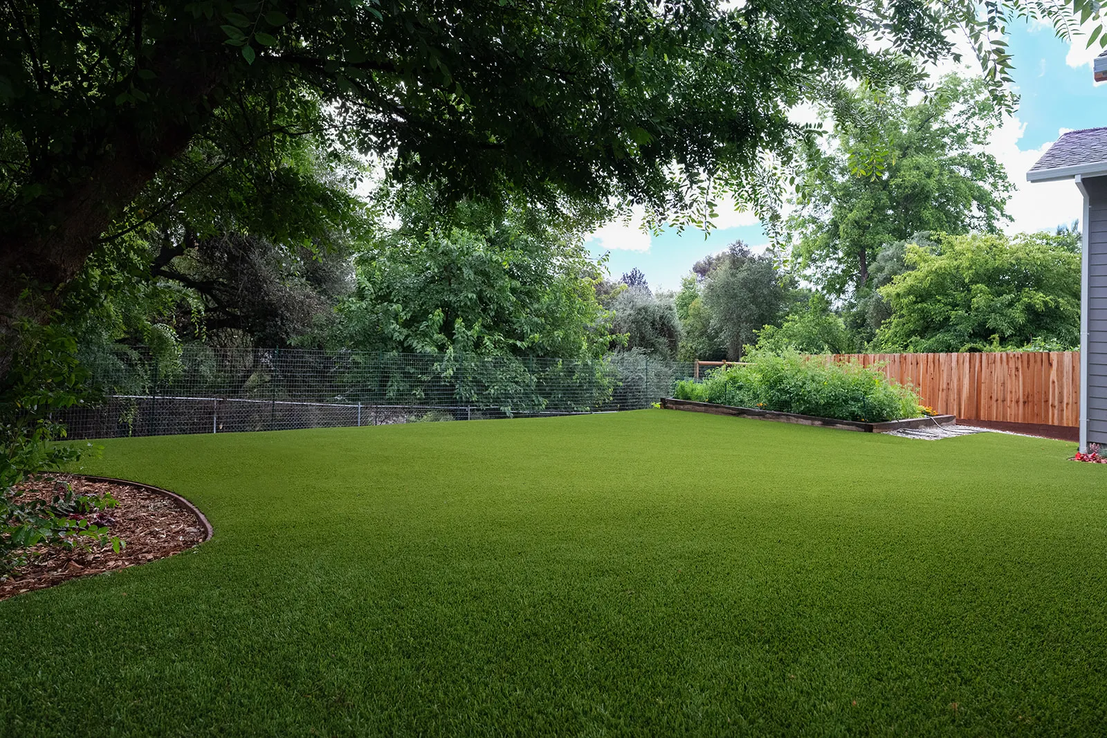 Backyard artificial turf in Fair Oaks