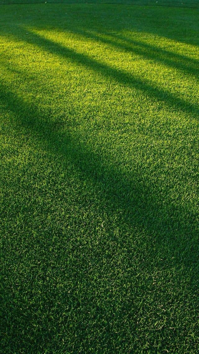 Premium artificial turf playground installation Sacramento Total Turf