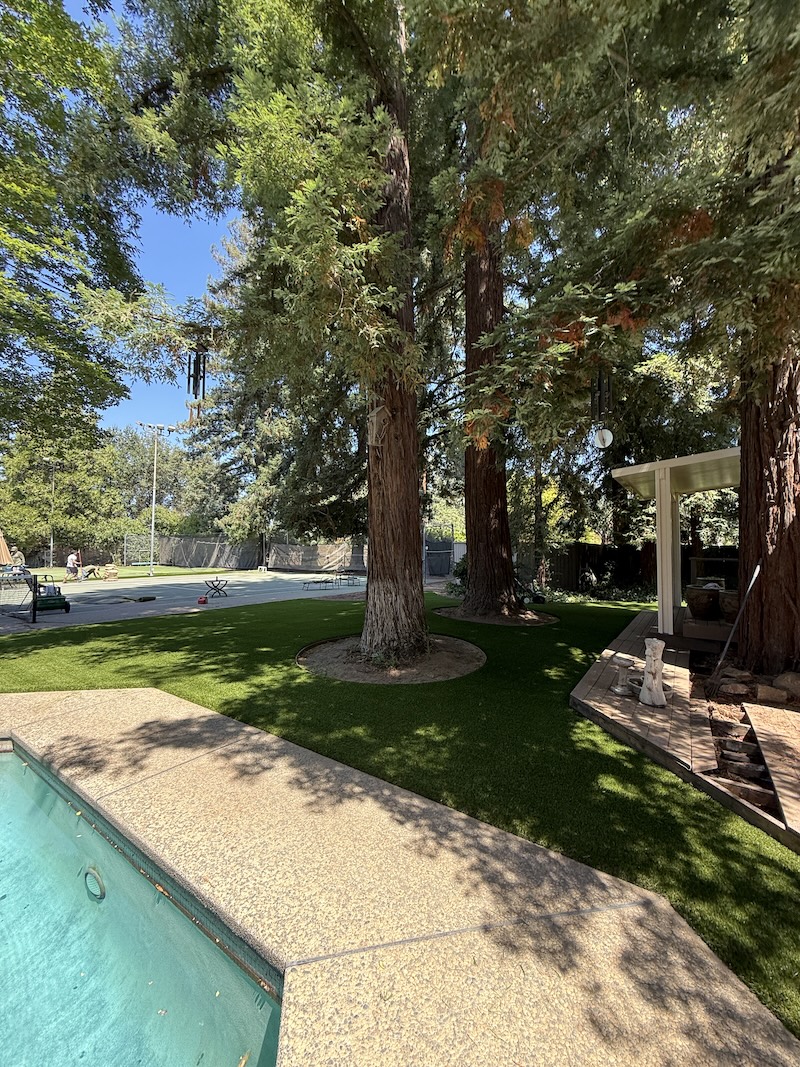 Artificial Turf Front Yards Sacramento Curb Appeal HOA Costs | Total Turf