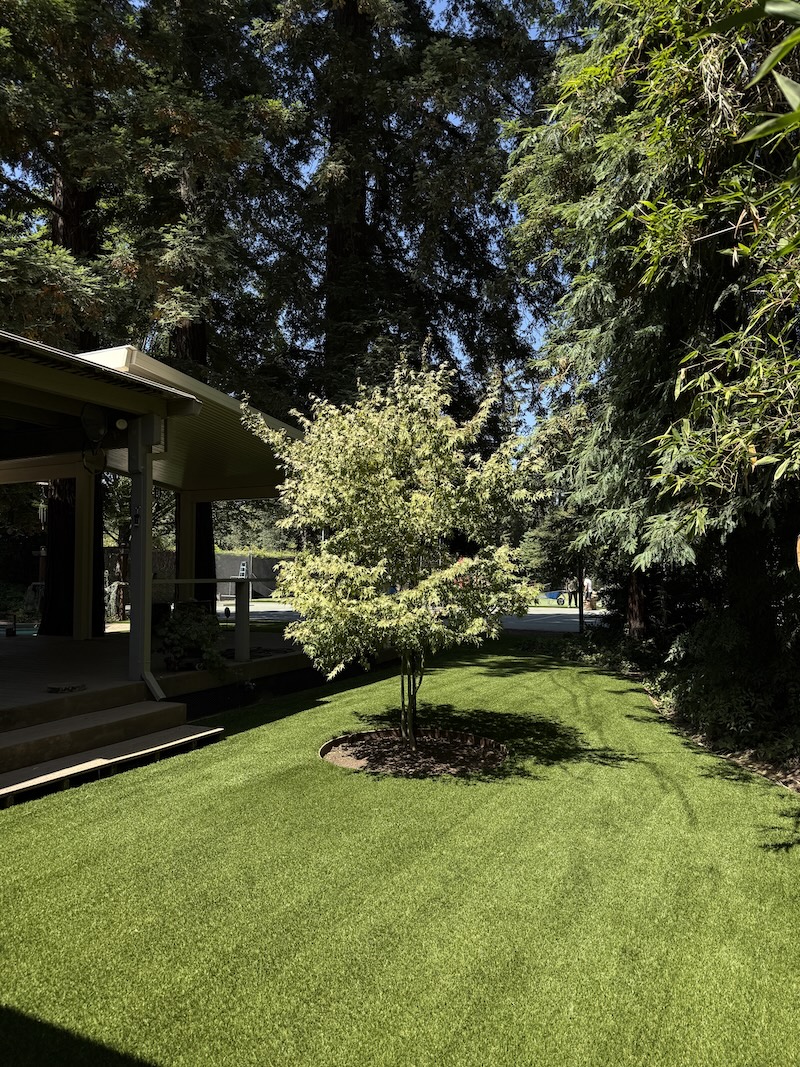 Artificial Turf Lincoln CA Everything Placer County Homeowners Need | Total Turf Sacramento