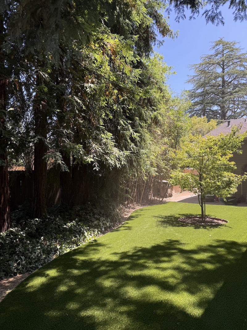 Artificial Turf Roseville CA What Homeowners Need to Know 2026 | Total Turf Sacramento