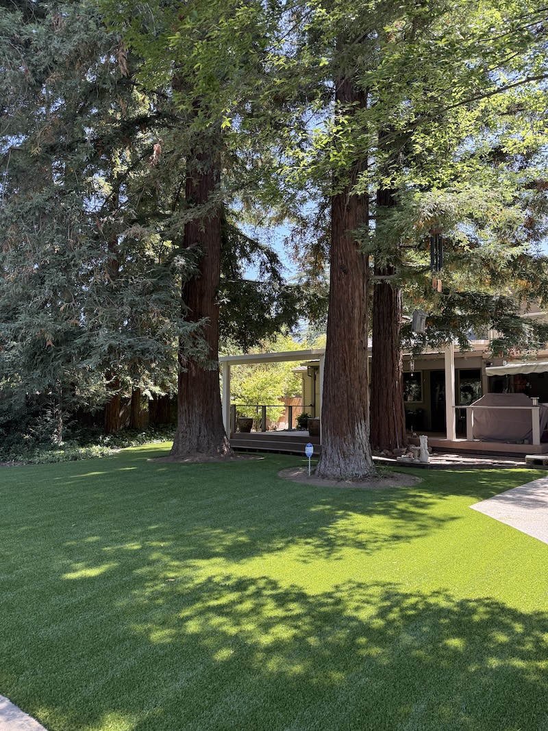 Artificial Turf Water Conservation Sacramento Numbers That Matter | Total Turf