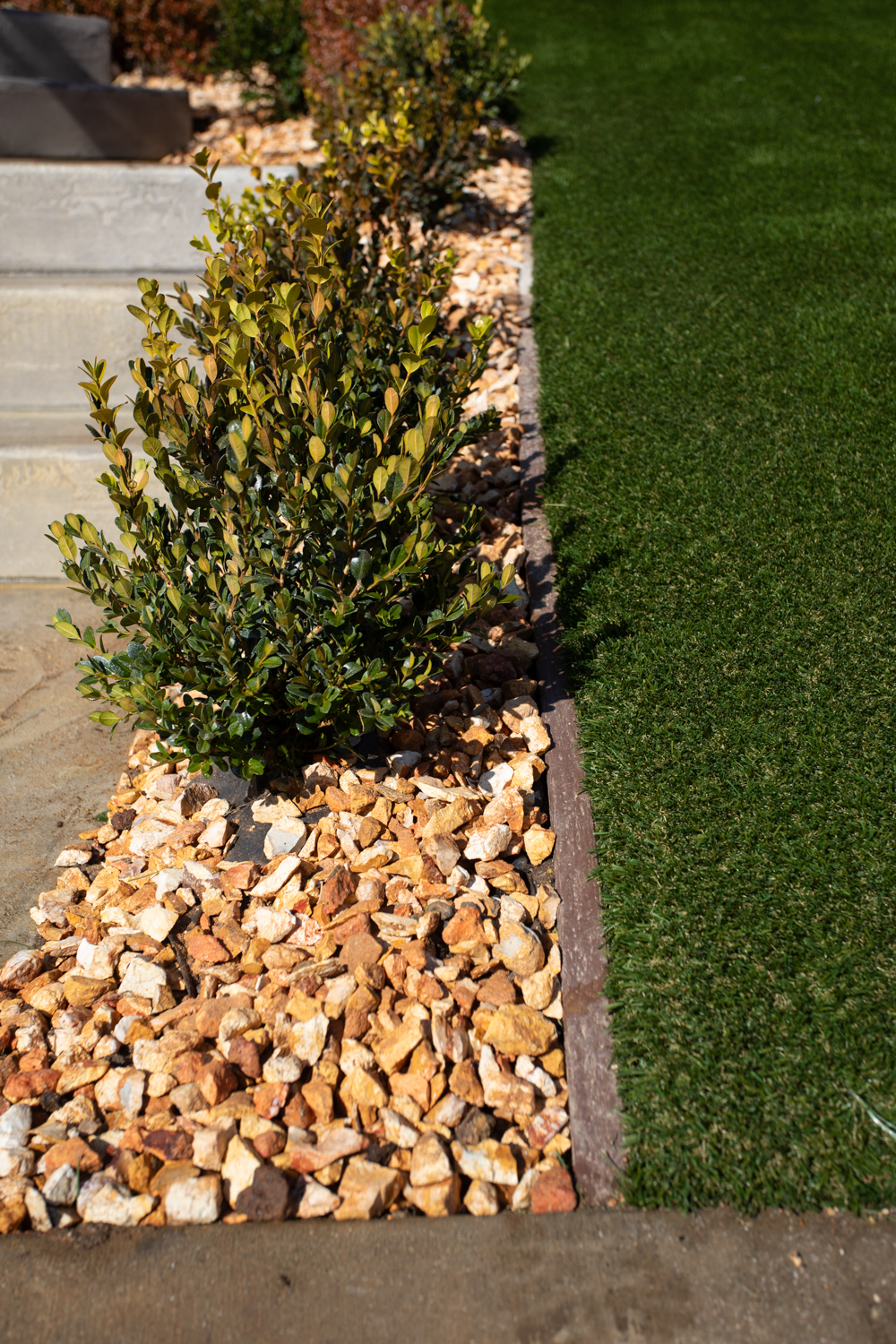 Sacramento Dog Owners Guide Artificial Turf Pet Solutions | Total Turf