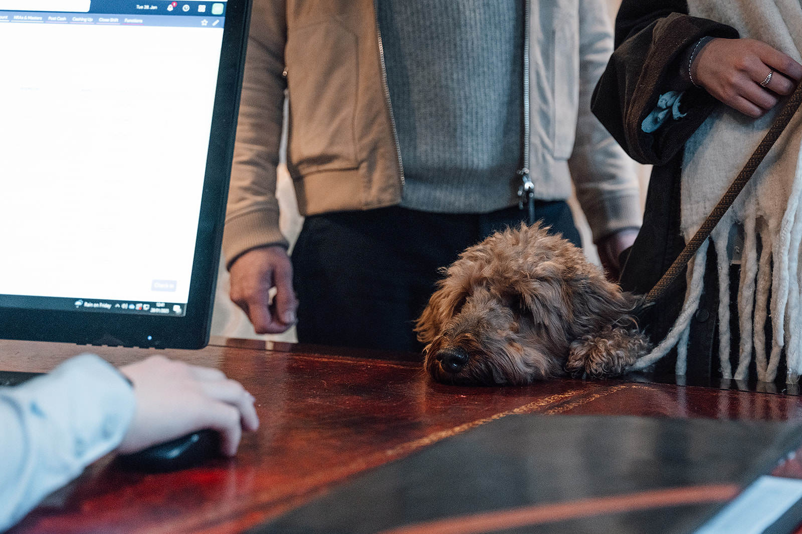 couple and dog checking into a hotel, sharing PII data with the hospitality venue