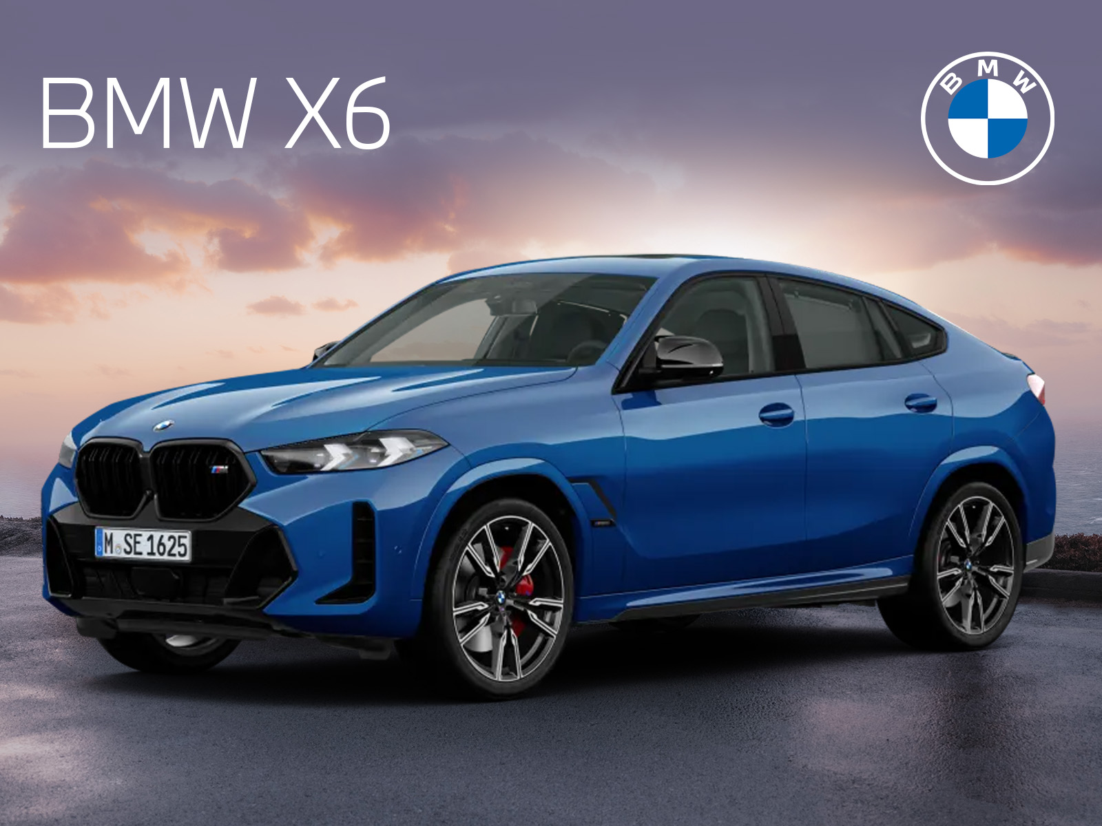 BMW X6 xDrive30d M Sport