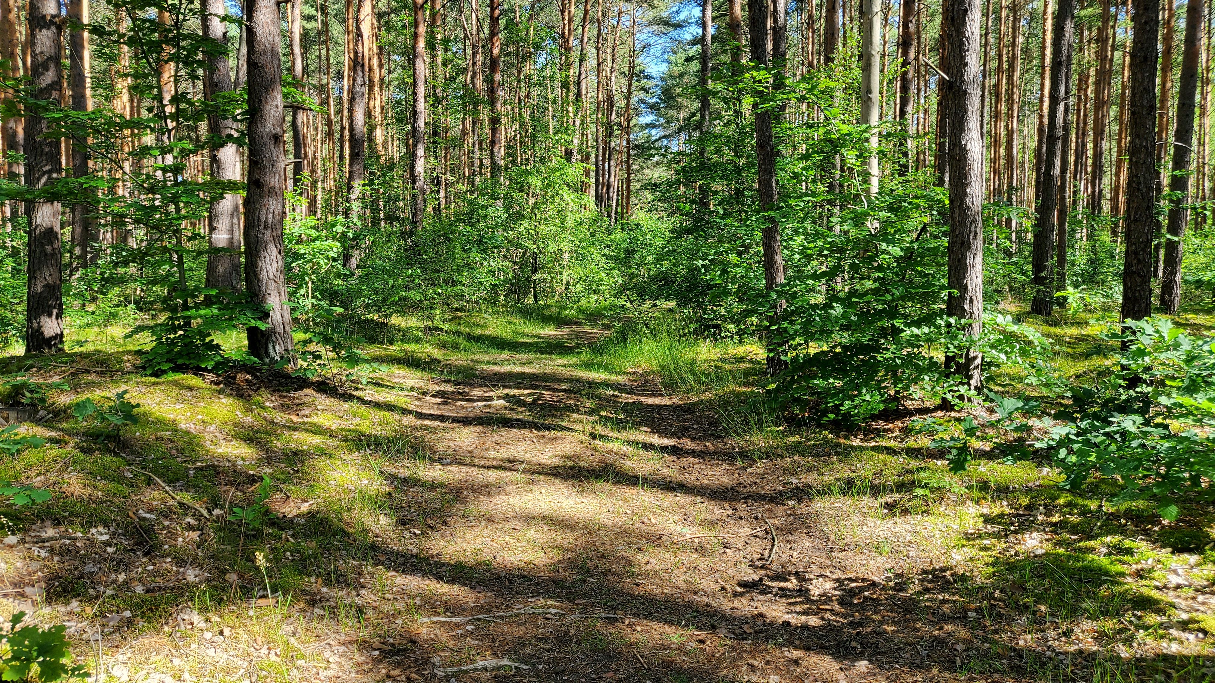 __wf_reserved_inherit