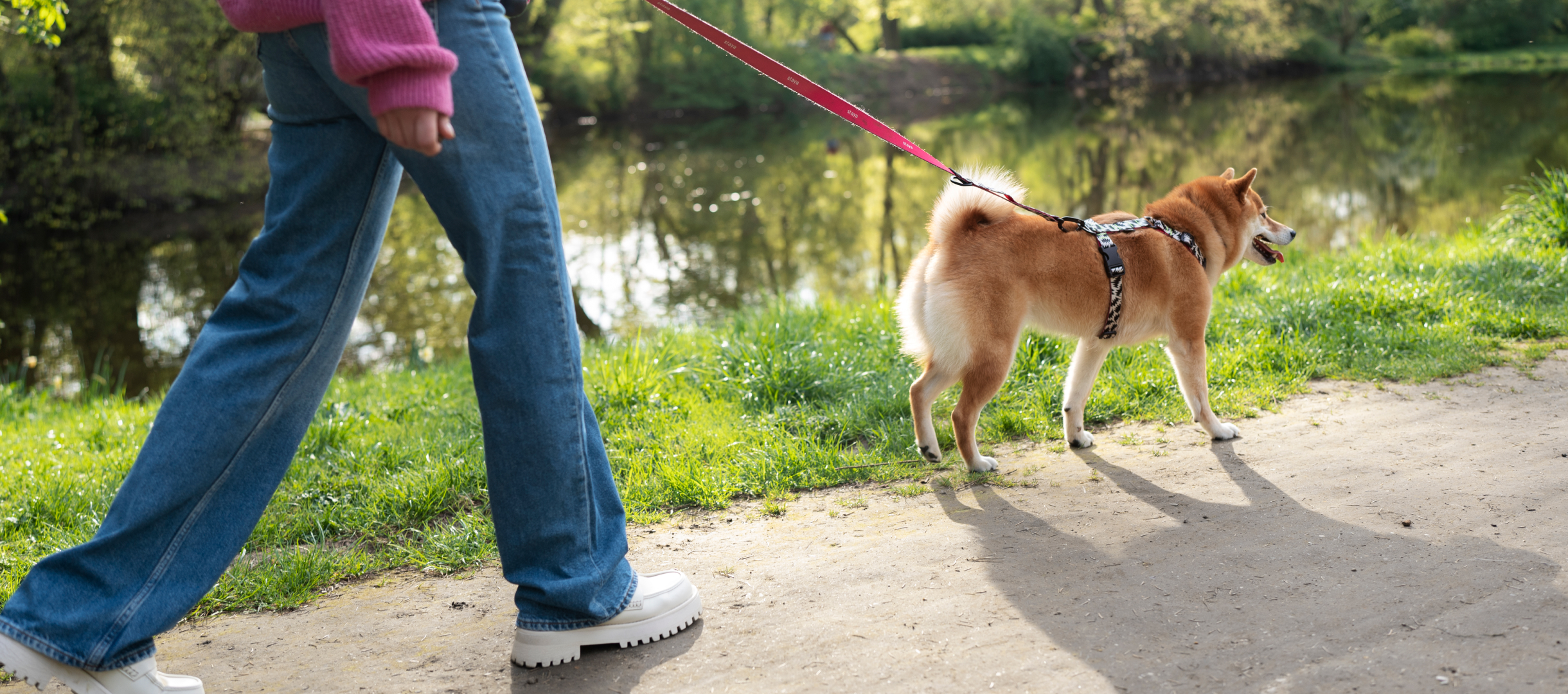 No More Last-Minute Stress: Easy Dog Sitting and Walking When You Need It Most