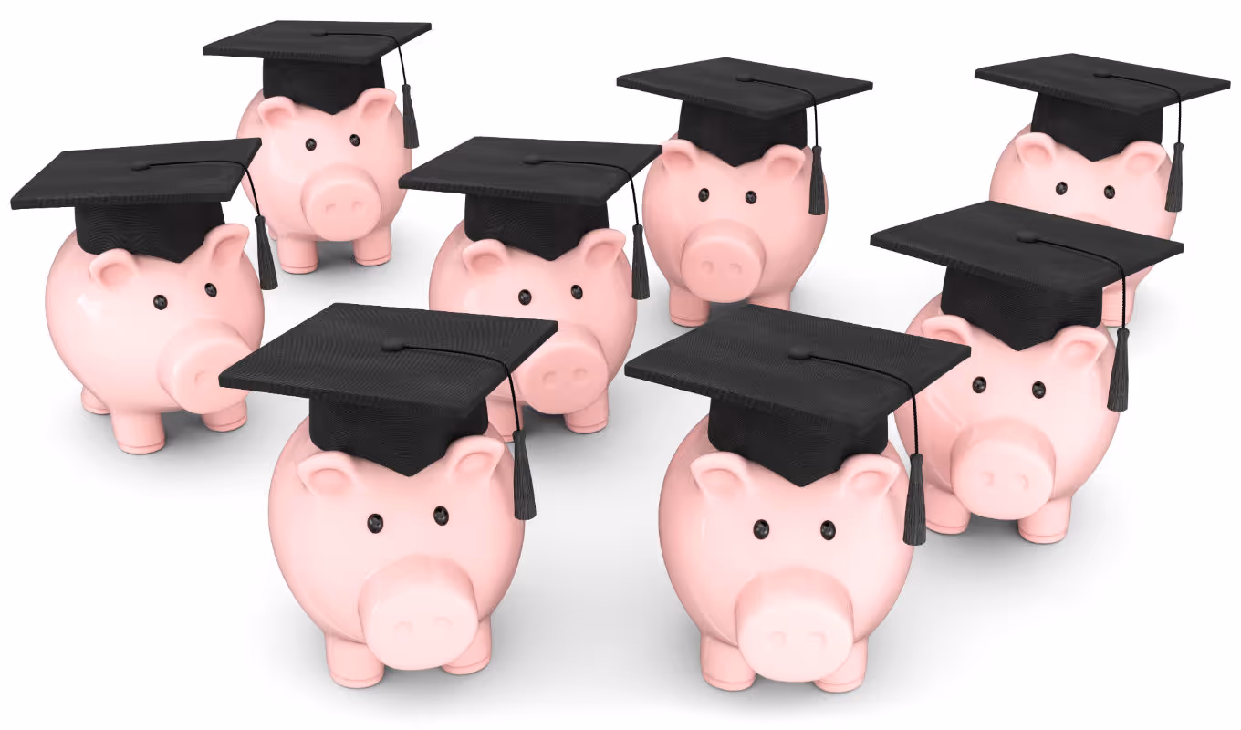 Finance vs. Univerzita