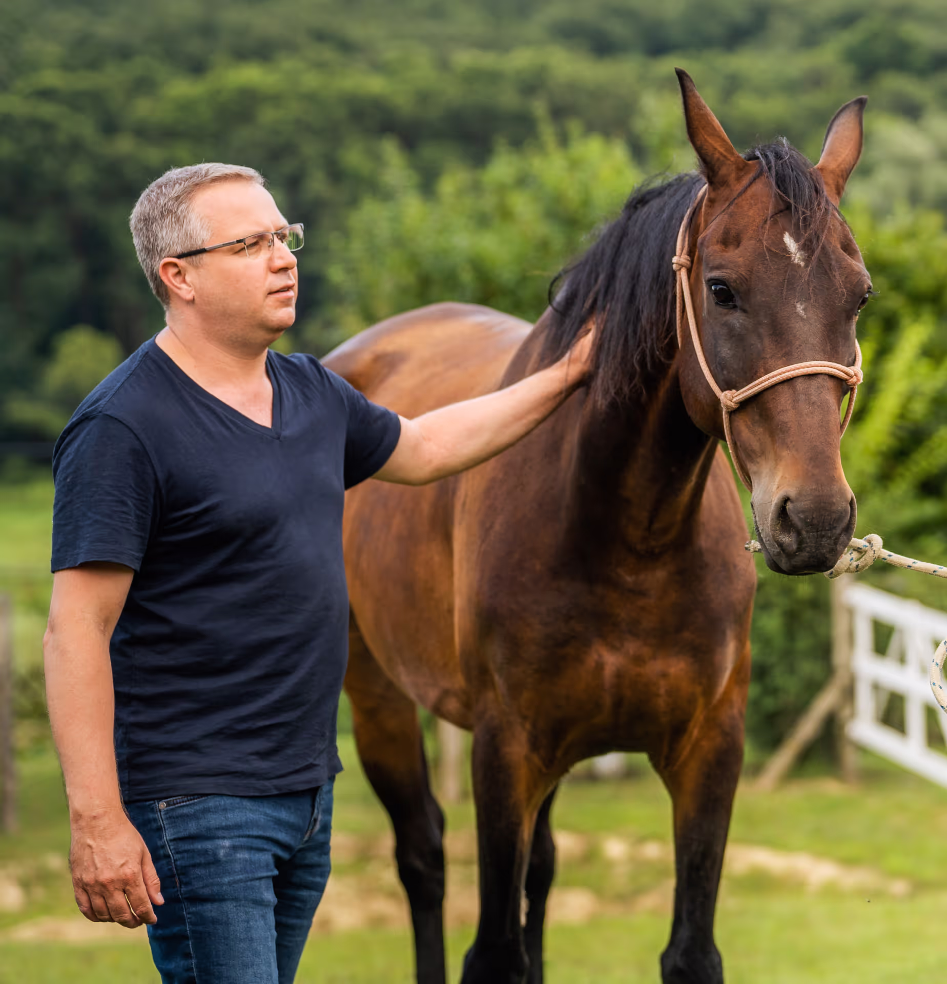 Intuitív vezetés lóval: egy coaching feladat, ami a belső erőforrásokat mozgósítja.