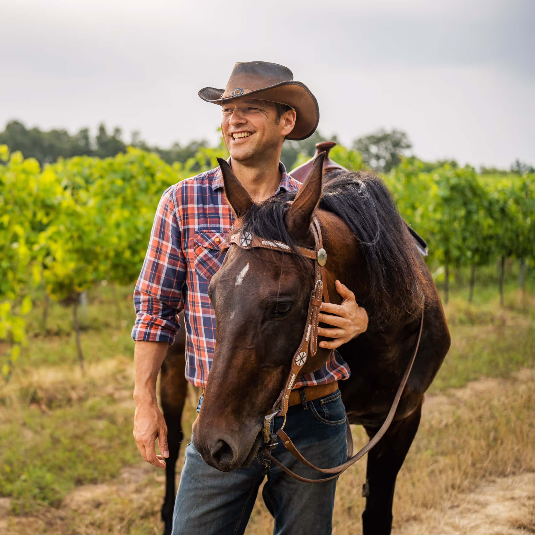 Csillag Sándor a lovakkal
