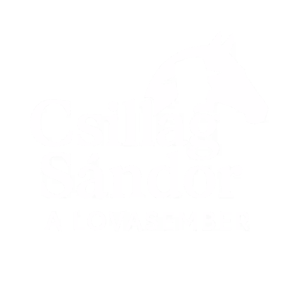 Csillag Sándor. a lovasember logója