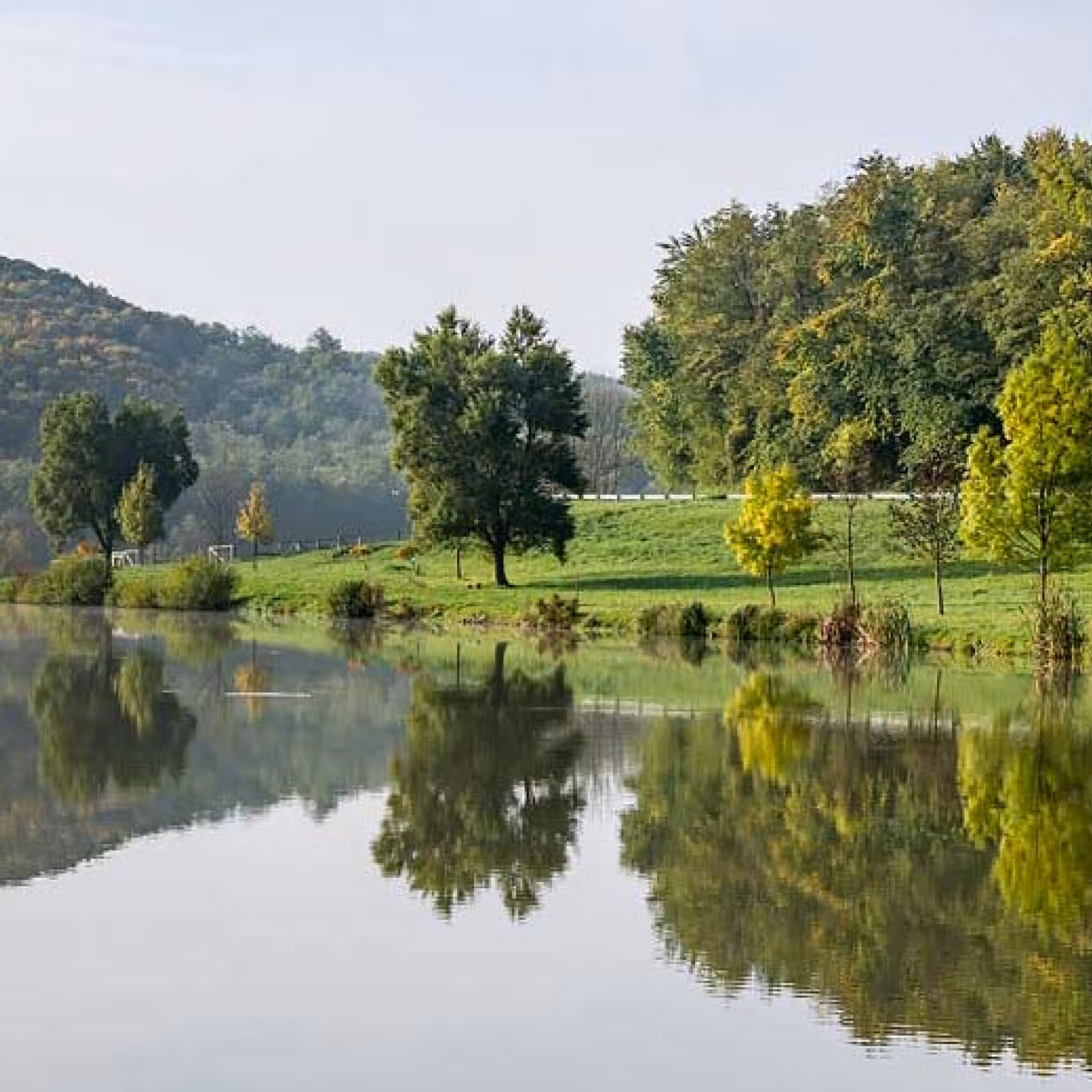 Nyugodt, zöldellő legelő Szálkán, ahol a lovak és a coaching résztvevők feltöltődhetnek.