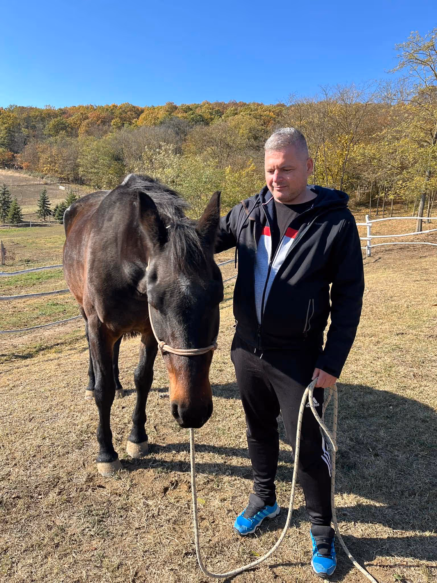 Ember és ló kapcsolata