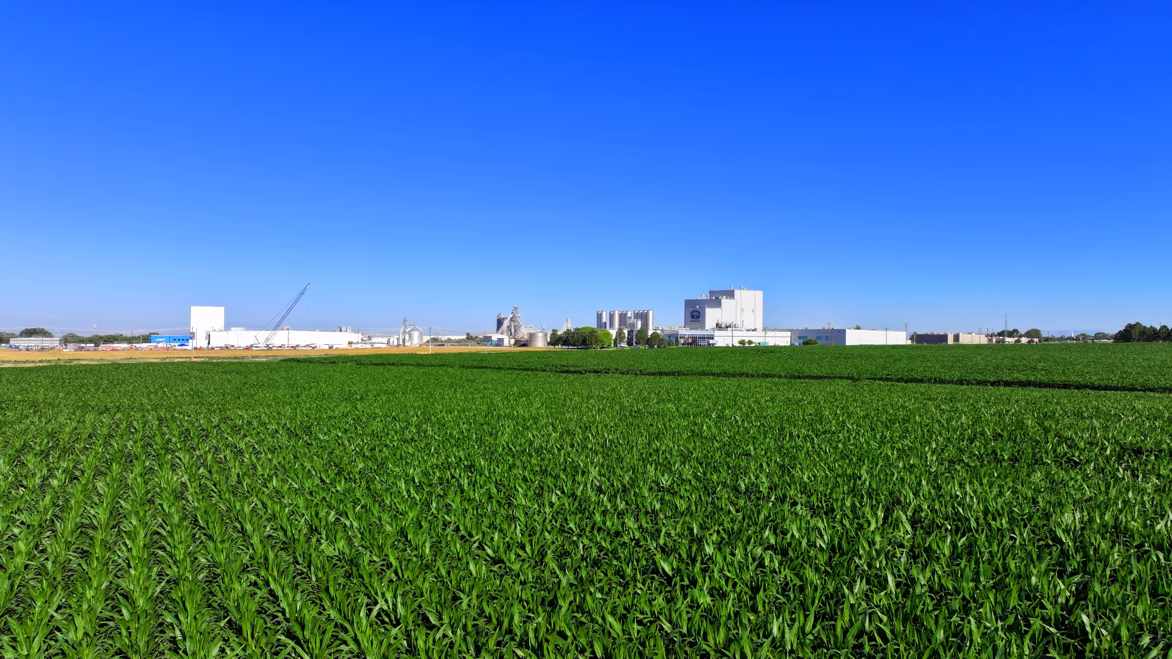 A picture of our new facility in the background to the left, next to our current plant on the right.