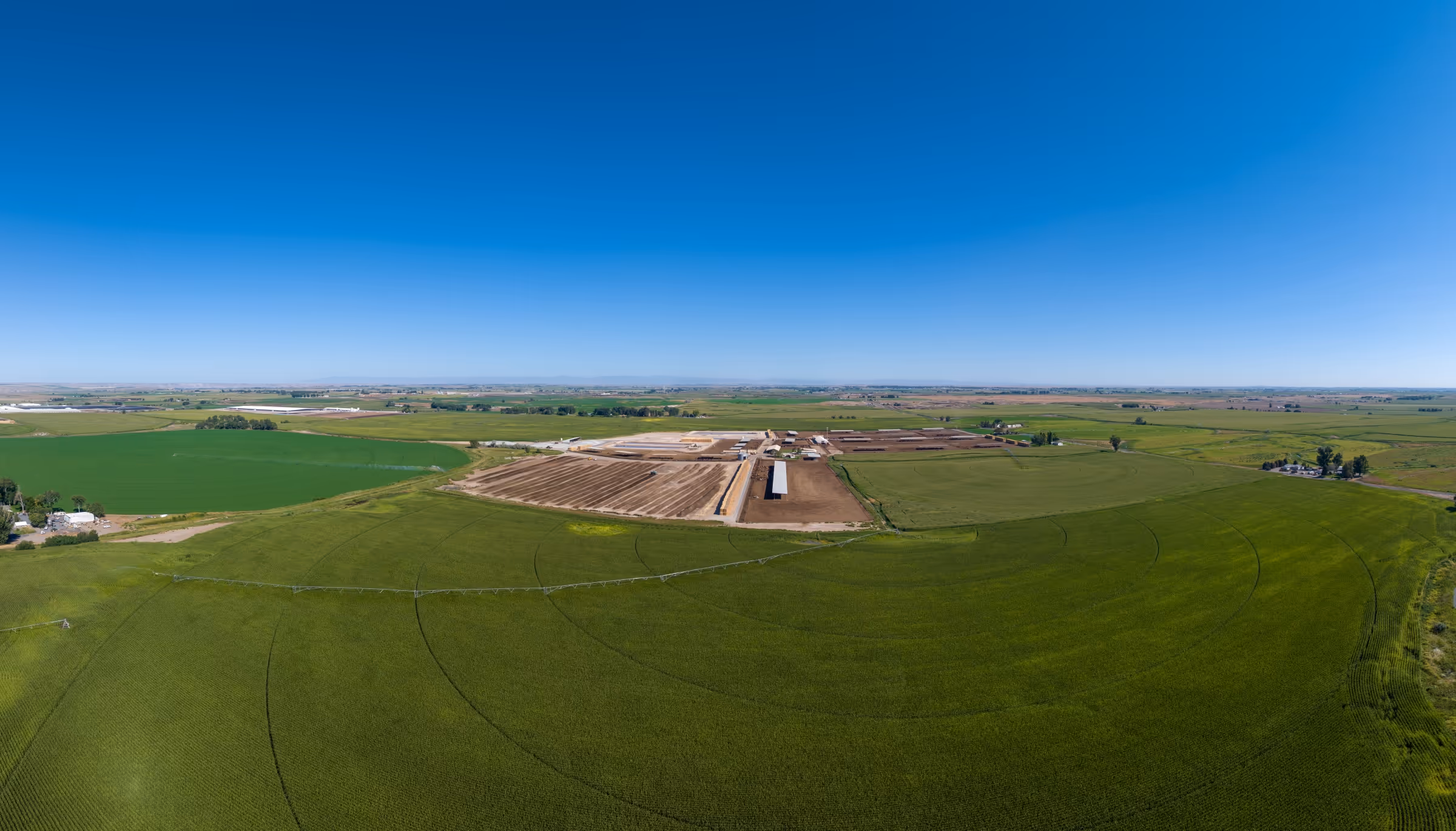 Aerial drone picture of a dairy farm surrounded by green fields of corn.
